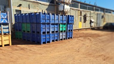 Dolav Boxes Power Cyprus’ Potato Logistics